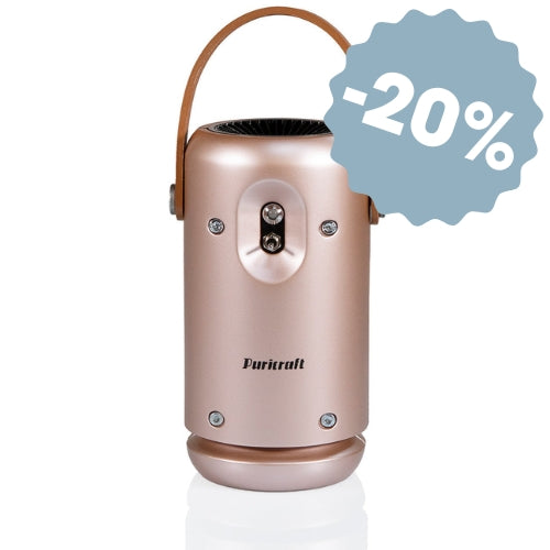 B-ION Boost 2001 - Rosa