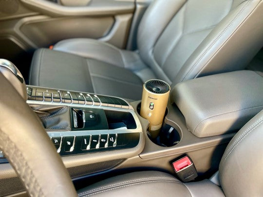 B-ION Boost 1001 - Champagne