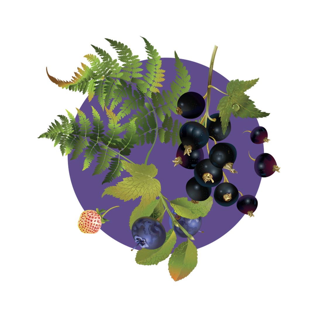 Ricarica Greenberry per Aircub Fresh