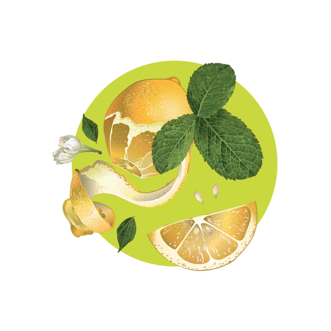 Ricarica Lemonbalm per Aircub Fresh